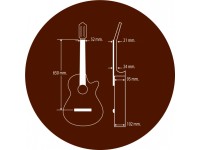 Paco Castillo 224CE Paco Castillo 224CE